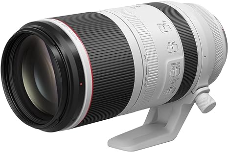 Canon RF 100-500 mm F4.5-7.1 Lens